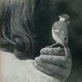 шорох улитки