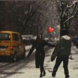 SEVGI... 🕊♾ (🤍🤍🤍)