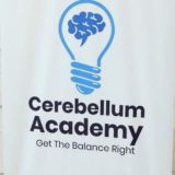 Cerebelllum academy official