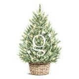 My Magic Home | Домашний декор