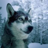 Kanal YATIRIMDUNYASINA devredildi