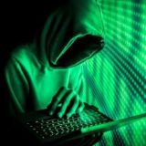 SCRIPTER ARMY GROUP🔥🔥