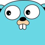 Go Programming PUBLIC User Group