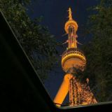 🦅 DRAKAUZ | GROUP 🔥