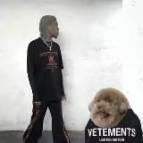 @grattie (gratefulglue) #ophiuroidea