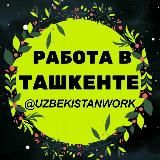 Работа в Ташкенте🇺🇿 | UzbekistanWork