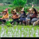 🌊 موج شمال