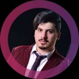 آرمان حمیدی | درآمد دلاری