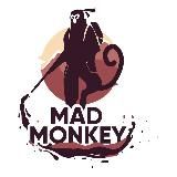 MadMonkey_Чистка крыш