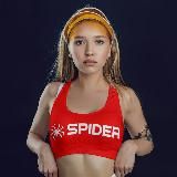 SPIDER SOFTWARE HACKERS