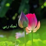♡أُحبّكَ ربي♡