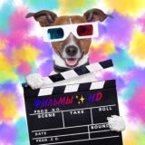 🎬Лучшие фильмы XXI