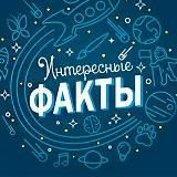 Нейросеть видит