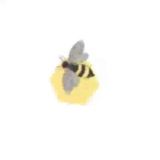 BeeHaven 🐝 Chat