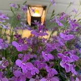 Выдыхаем | психология без напряжения