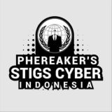 STIGS CYBER LOVER'S INDONESIA