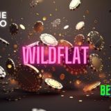 WildFlat все новости по казику