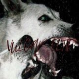 🍇ᴠᴜʟɢᴀʀ ᴇʟɪᴛᴇ🌊