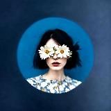 𝚆𝚑𝚘𝚕𝚒𝚜𝚒𝚝𝚒𝚌 𝚁𝚊𝚖𝚋𝚕𝚒𝚗𝚐𝚜