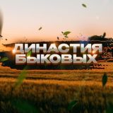 Династия Быковых