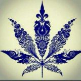 😎🤘🤘KOCHA HAYOT🤘🤘🤘😎