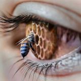 😈Взрыв мозга😈