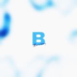 808bourny