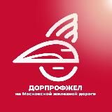 Дорпрофжел на МЖД