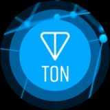 DAO TON Pay®