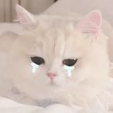 🐣老濕機養成記