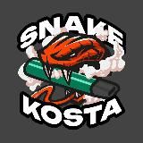 SNAKE KOSTA 🐍