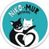 Котокафе Nikomur Барнаул🐈🐈‍⬛️