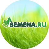 Semena.ru