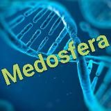 Medosfera