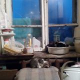 Philosophy in Russian