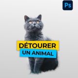 GomboDigital - Groupe