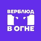 Верблюд в огне