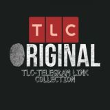 FUTURE FOCUS PHOTOGRAPHY