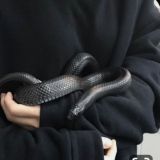 Zaharli Sozku 🐍