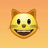 Money cat | Crypto gems