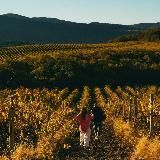 Путь к свободе | Вадим Палий