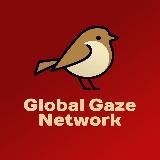 GGN (Global Gaze Network)