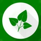 Biologia Vegetal