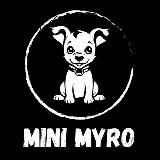 $MINI MYRO PORTAL