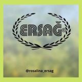 🍃Ersag-Rosalina🍃