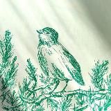 Wild Bird Art ❤️✨