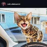 Jolan Aleksandrovich 18+ a.k.a. Саня Баранов