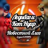 🐾 ladycatnewsblog🐞