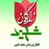 کانال فرزندان شاهد کشور