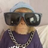 𝗹𝗼𝗴𝗮𝗻𝗶𝗱𝘇𝗲𝗲 𝗜𝗰𝗼𝗻𝘀 | Авы